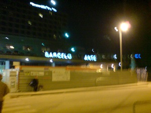 barcelo-ants